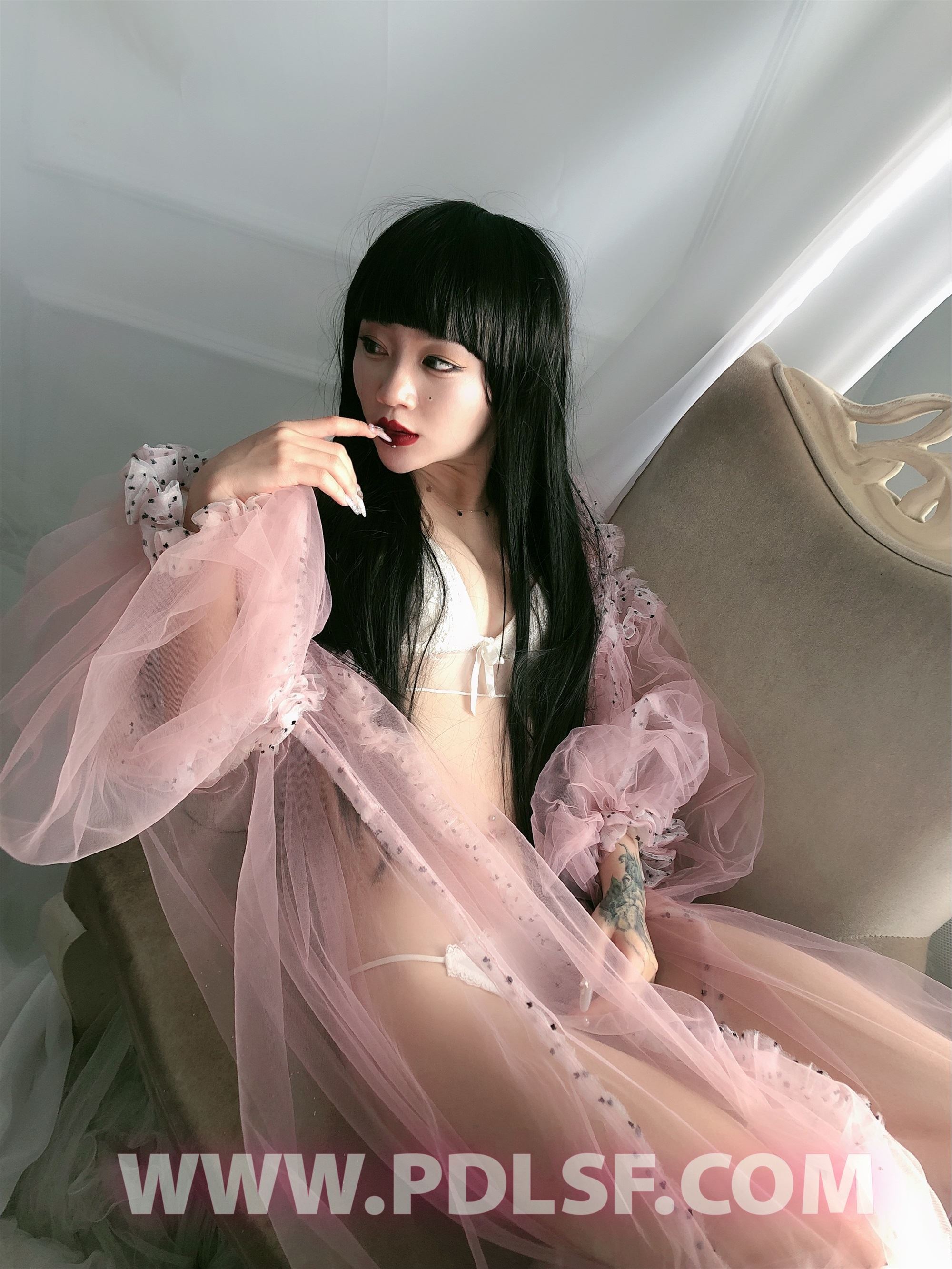 PDL潘多拉 2020.02.03 专辑No.275